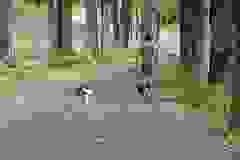 NMRTA4