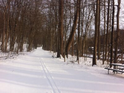 Sega Trail, New Milford- Winter